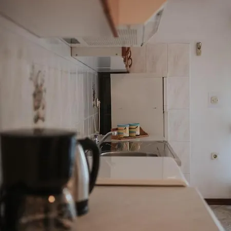House Diminic בית נופש *